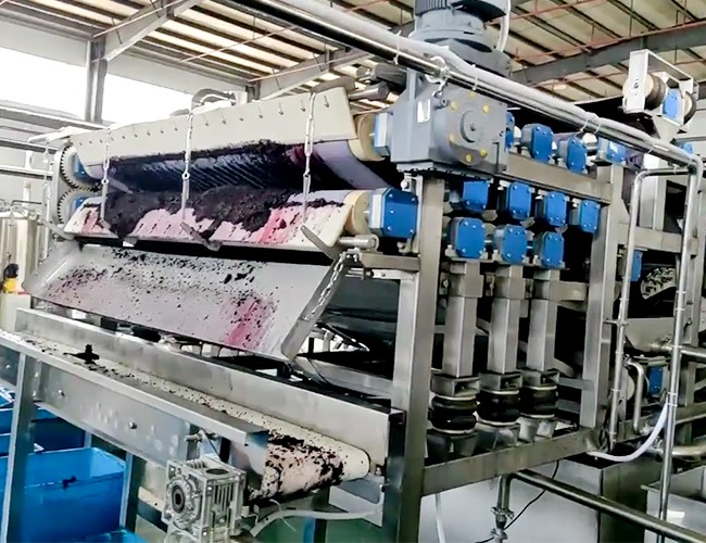 帶式壓榨機(jī)客戶桑葚榨汁使用現(xiàn)場