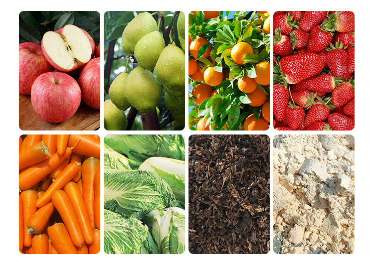 帶式水果壓榨生產(chǎn)線