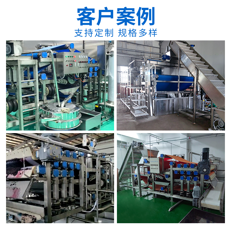 帶式水果壓榨生產(chǎn)線案例